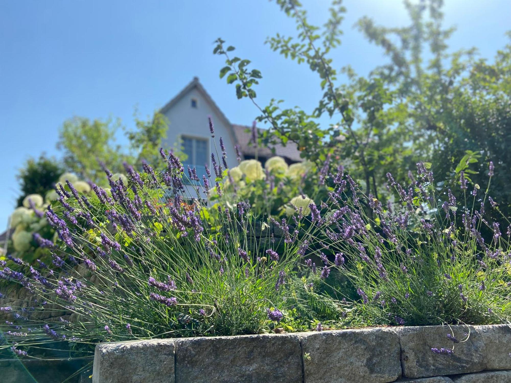 Romantik Idyll Am Tiefental Konigsbruck Екстер'єр фото